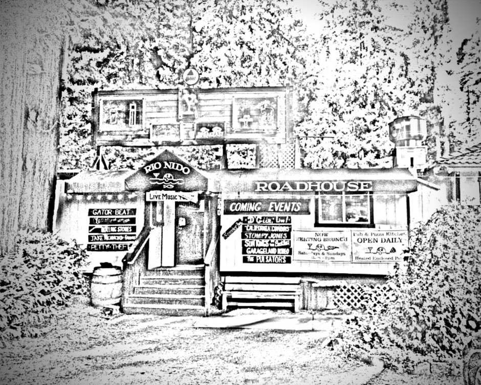 Two Blues Band Sonoma County Eclectic Blues Duo